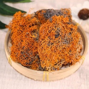 Organic Dried Red Thamnolia Vermicularia, Red Snow Tea