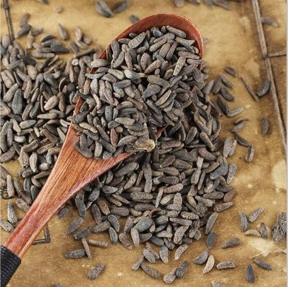 有機乾燥ごぼう Achene Fructus Arctii Arctium Lappa Nui Bang