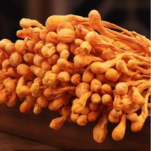 Può includere: Primo piano di un mucchio di funghi secchi di colore arancione. I funghi sono lunghi e sottili con una testa bulbosa.