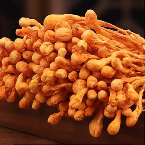 Organic Dried Cordyceps Militaris Mushroom Cordyceps High Quality