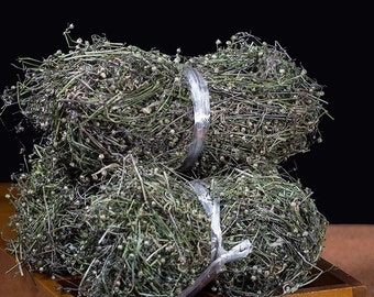Organic Dried Herba Hedyotis diffusa, Hedyotis diffusa Willd, Bai Hua She She Cao