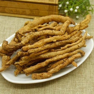 Organic Dried Thickleaf Croton Root, Root of Thickleaf Croton, Crotonis Crassifolii Radix, Ji Gu Xiang