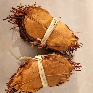 Organic Dried Hawthorn leaves Tea, Crataegi Folium, Shan Zha Ye image 4
