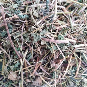 Recommend Organic Dried Herba Cardiospermum halicacabum, Balloon Vine, Dao Di Ling, 500g