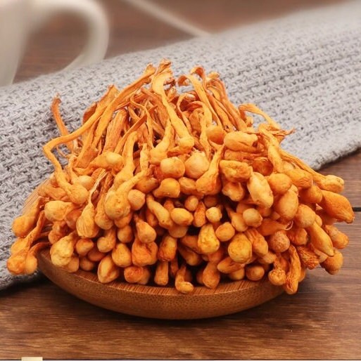 オーガニック乾燥冬虫夏草 冬虫夏草 高品質 - Etsy 日本