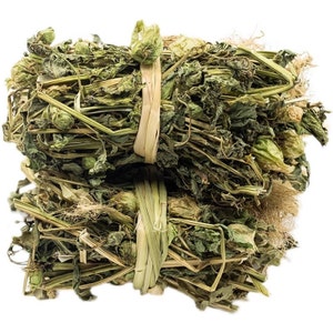 May include: Two bundles of dried green herbs tied together with natural twine. The herbs are a light green color and have a slightly brown hue.