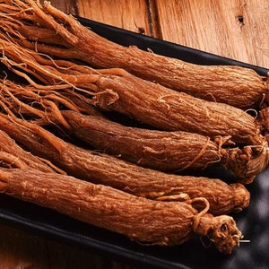 Radici di ginseng rosso biologico di alta qualità Radici intere di ginseng rosso Panax