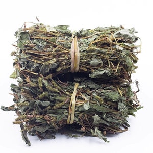 Organische getrocknete Houttuynia cordata, Yu Xing Cao, Cordate houttuynia, Houttuynia cordata Thunb.