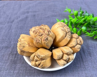 Recommend Organic Dried Herba Hala Fruit Pandanus Tectorius Thatch Screwpine Shan Bo Luo