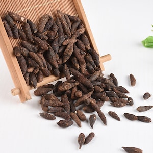 Recommend Organic Dried Nut Grass, Nutgrass, Rhizoma Cyperi, Rhizome Rhizoma Cyperi Xiang Fu Zi, 500g