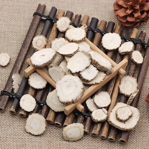 Organic Dried Lemonfragrant Angelica Root Radix Angelicae Dahuricae Dahurian Angelica Root Bai Zhi