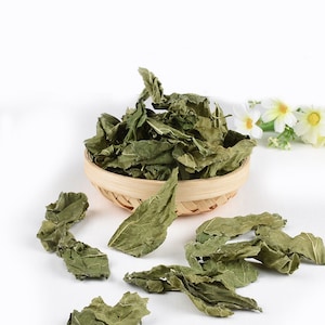 Könnte beinhalten: Getrocknete grüne Blätter in einem geflochtenen Korb mit zusätzlichen Blättern, die auf einer weißen Oberfläche verstreut sind.