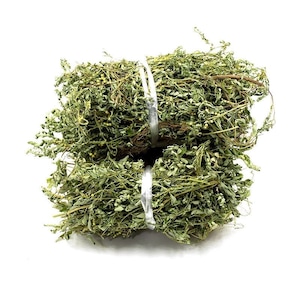Organic Herba Dried Phyllanthi Urinariae, Underleaf pearl, Phyllanthus urinaria Linn