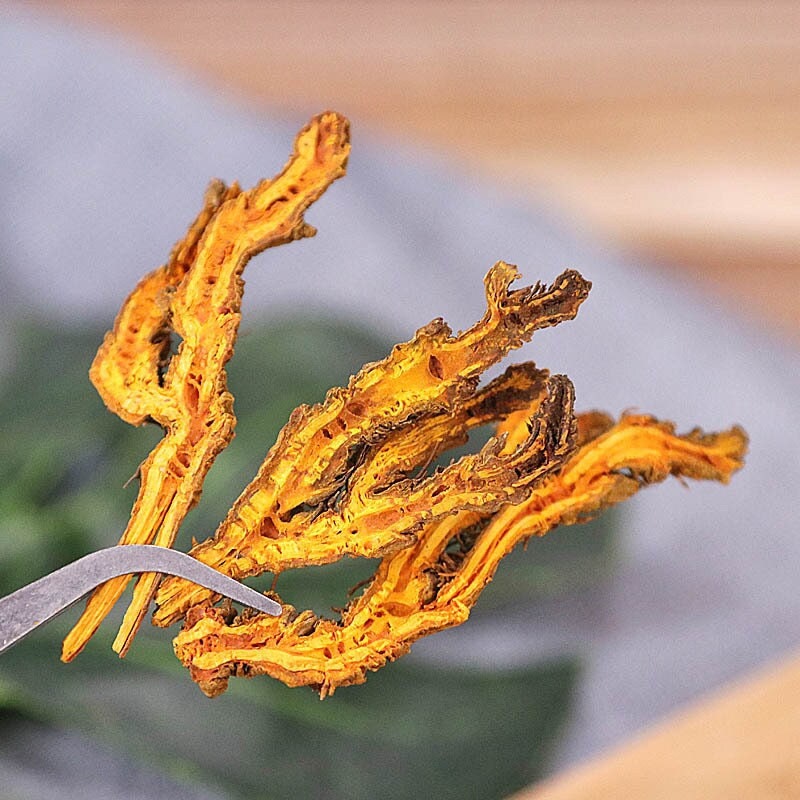 Organic Dried Coptis Chinensis Chinese Goldthread Goldthread Huang 