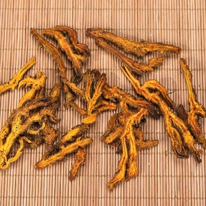 Coptis chinensis seco orgánico, hilo de oro chino, hilo de oro, Huang Lian