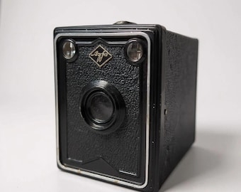 レトロカメラコレクション：1920年代～1960年代のヴィンテージ装飾品