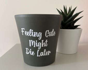 Feeling Cute Might Die Later Plant Pot Sticker, Funny Plant Pun Decal, Quirky Home Décor, Custom Colour & Size Vinyl, Gift for Plant Lovers