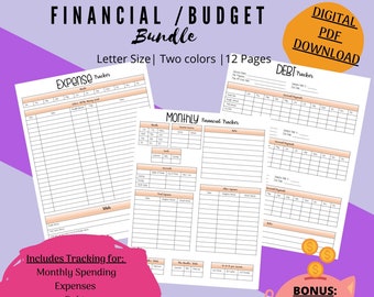 Financial Tracker | Budget Planer | Expense Debt Bills Tracker | Monthly Budget Planner | Expenses Template | Financial Template | Printable