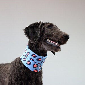 COTTON CANDY - PAW by Seven Dog Neck, Dog Bandana, Dogs Accessories, Dog Scarf, Puppy Accessories, Dog clothing