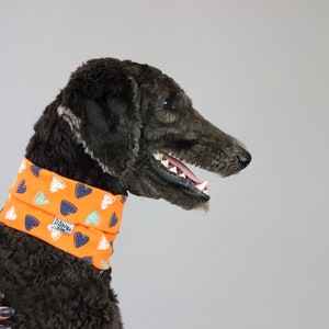 LOVE OVERLOAD - PAW by Seven Dog Neck, Dog Bandana, Dogs Accessories, Dog Scarf, Puppy Accessories, Dog clothing