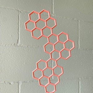 Salmon Pink 11" Hexagon Plant Trellis / Geometric 2D Moss Pole / Totem / Plant Support Stake by OrchidBox