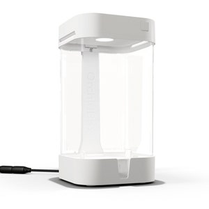 OrchidBox Mini Smart Terrarium (White) - LED terrarium for cuttings, carnivorous plants, mosses, and more