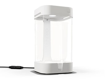OrchidBox Mini Smart Terrarium (White) - LED terrarium for cuttings, carnivorous plants, mosses, and more