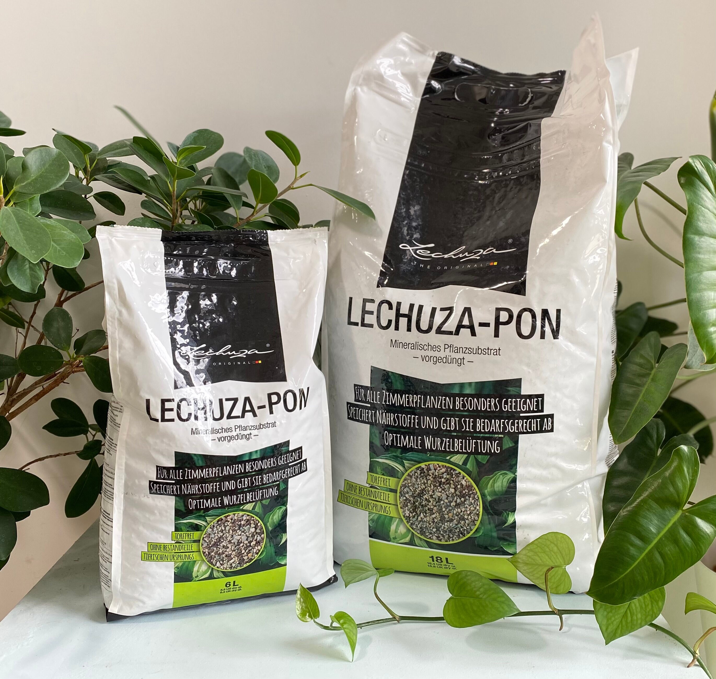 Lechuza PON - 6l 