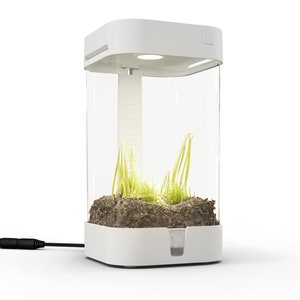 Orchidbox Mini Smart Terrarium (white) - LED Terrarium for Cuttings ...