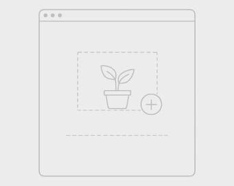 May include: A light gray digital interface window featuring a central dashed rectangular box containing a simple line drawing of a small potted plant with two leaves. A circular button with a plus sign is positioned to the right of the plant.