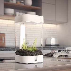 Orchidbox Mini Smart Terrarium (white) - LED Terrarium for Cuttings ...