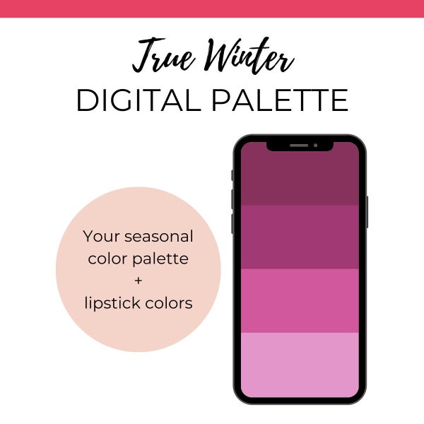 True Winter Digital Color Palette Swatch - Instant download