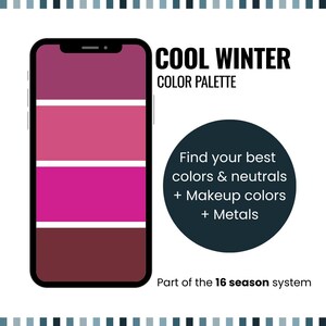 Pode incluir: Gráfico com um smartphone exibindo uma paleta de cores de inverno frio. A paleta inclui tons de rosa, magenta e bordô. O texto na imagem diz "COOL WINTER COLOR PALETTE" e "Encontre suas melhores cores e neutros + Cores de maquiagem + Metais."