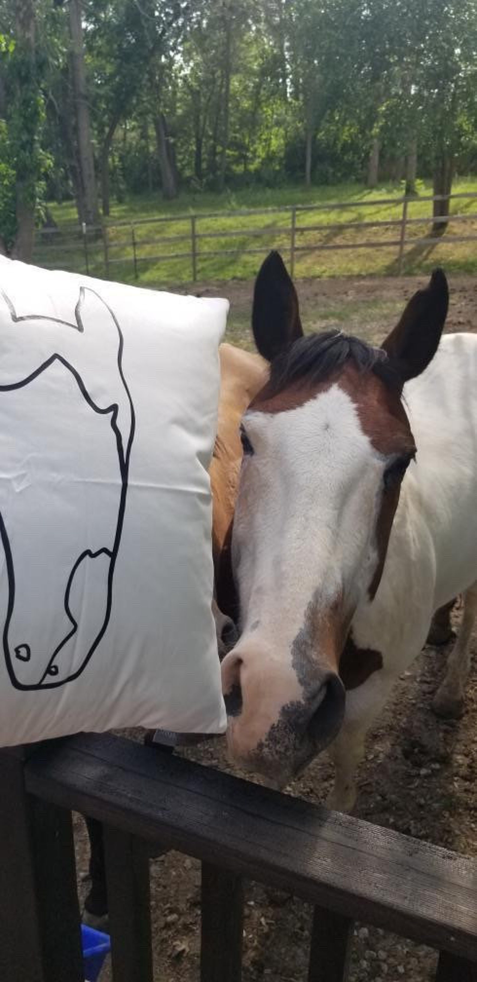 WHITE Custom Horse Head Pillow Case Horse Pillow Cover Etsy