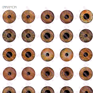 NEW NEW NEW Cinnamon Eyes for Blythe 14mm and other doll