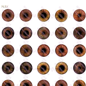 NEW NEW NEW Nuts Eyes for Blythe 14mm and other doll