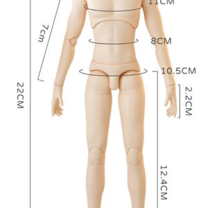 YMY23 Male Body for boy Doll / Blythe/ Joint Body / 1/6 Bjd Doll image 8