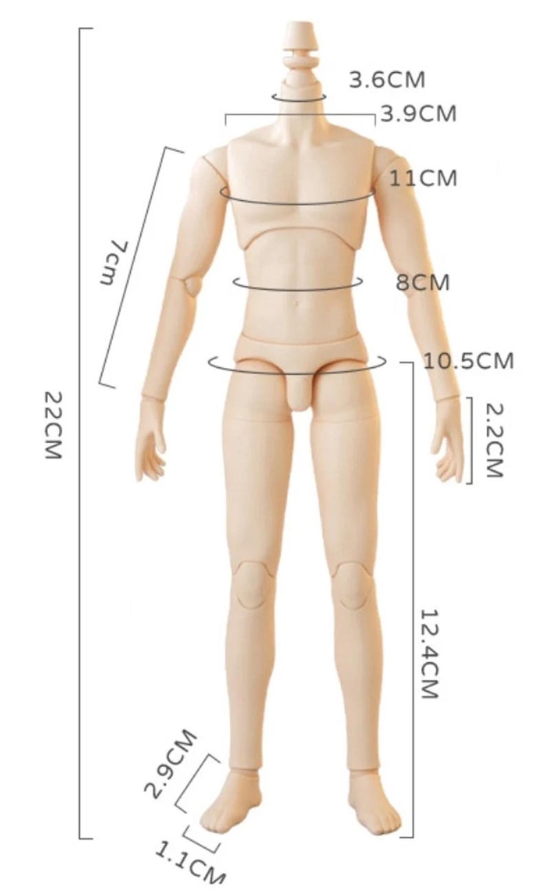 YMY23 Male Body for boy Doll / Blythe/ Joint Body / 1/6 Bjd Doll image 8