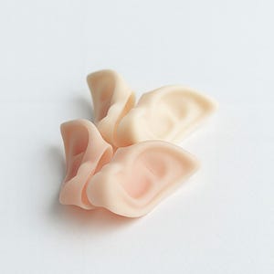 May include: Several prosthetic ear pieces in varying shades of pink and beige are arranged on a white surface. The ears are detailed with realistic folds and curves, suggesting a human ear shape. The lighting is soft, highlighting the textures.