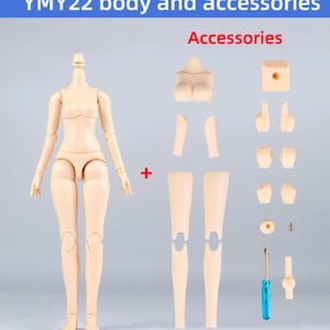 May include: A nude-colored plastic doll body with articulated joints and a set of accessories, including arms, legs, hands, a chest piece, and a head. The accessories are also nude-colored plastic. The text "Accessories" is written in red at the top of the image.