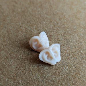 Puede incluir: Un par de pequeños pendientes en forma de oreja, de color blanco y de aspecto realista.