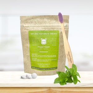 Jumbo Pack Mint Zero Waste Zahnpasta-Tabletten, plastikfreie Zahnpasta, Chew Tabs (120 Tabs)