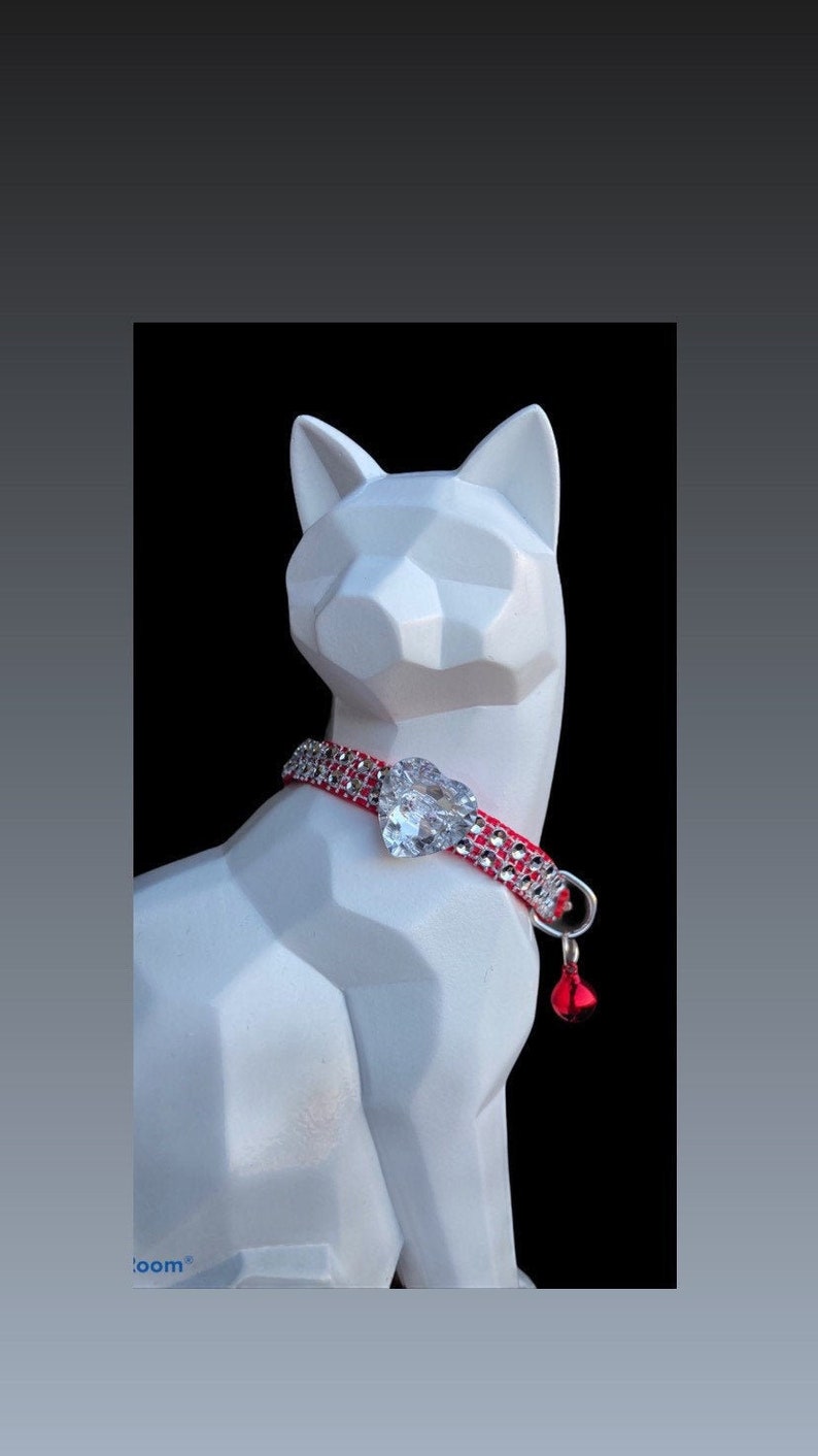unique cat collars