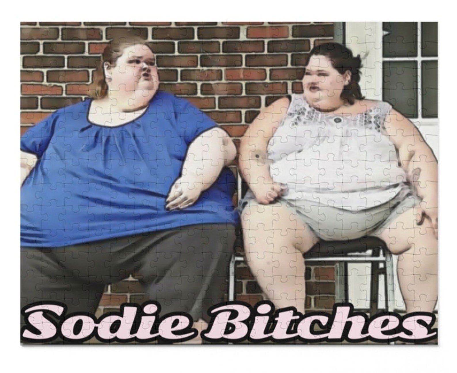 1000lb Sisters Sodie Bitches 252 Piece Puzzle Etsy