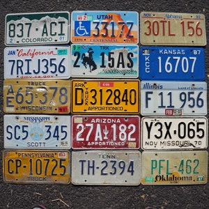 LOT of 15 License Plates 10 Different States USA Plate Tag Craft Condition Group