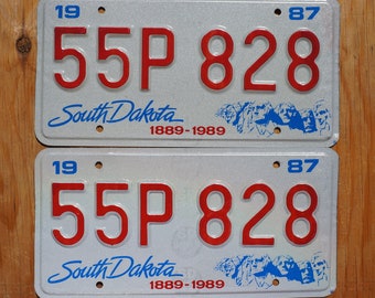 Pode incluir: Duas placas de matrícula prateadas com texto azul e vermelho. A placa superior diz "19 55P 828 87 South Dakota 1889-1989". A placa inferior diz "19 55P 828 87 South Dakota 1889-1989".