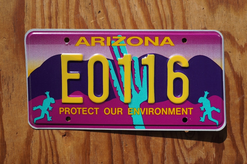 Arizona Blue Cactus Protect Our Environment purple License Plate # E0116
