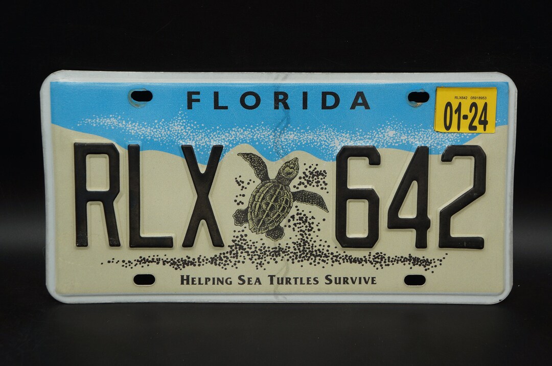 2024 Florida Helping Sea Turtles Survive License Plate - Etsy