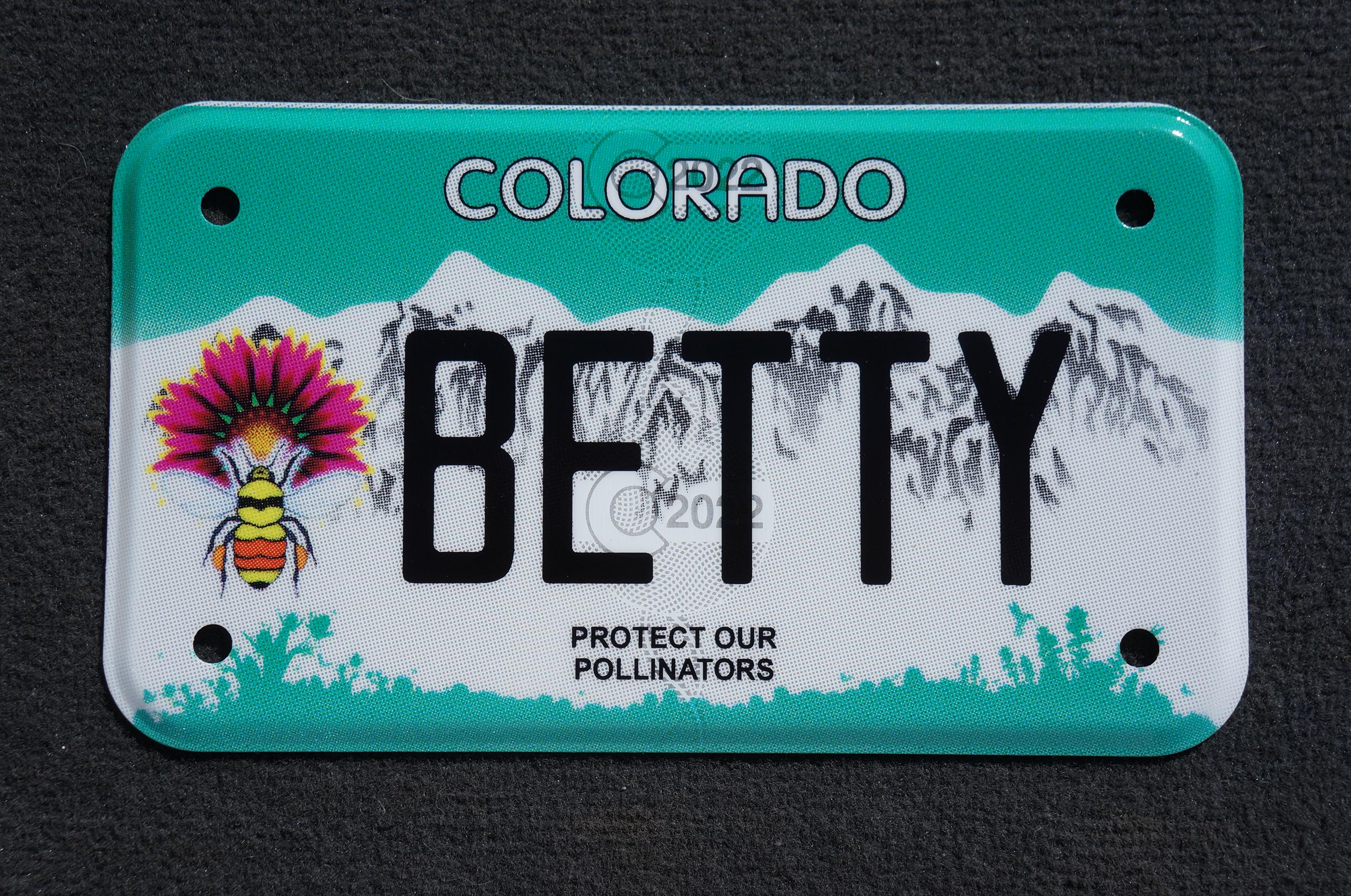 Expired Colorado Vanity MOTORCYCLE License Plate - BETTY