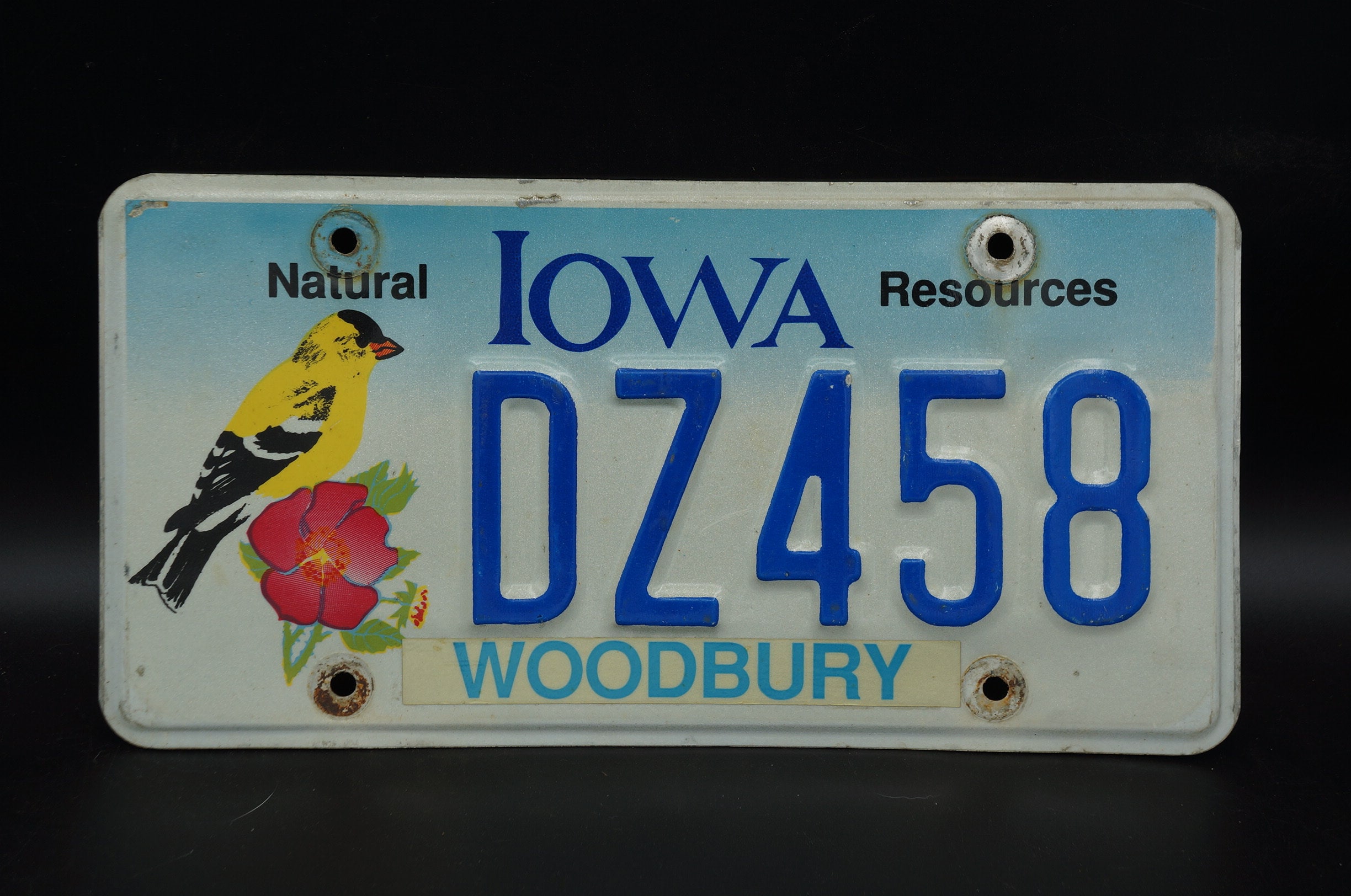 Iowa NATURAL RESOURCES Graphic License Plate - Yellow Bird Red